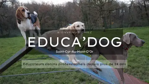 EDUCA DOG LYON