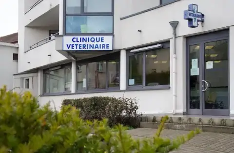 Clinique Vétérinaire Forvet - Forbach