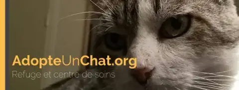 AdopteUnChat.org