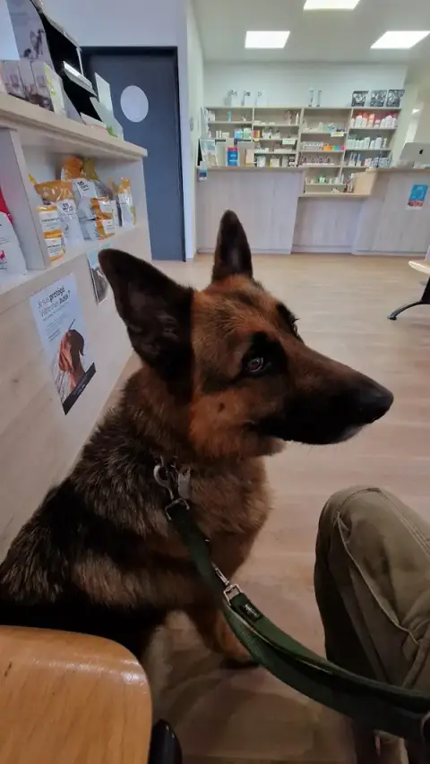 Veterinary Office Chaudeau