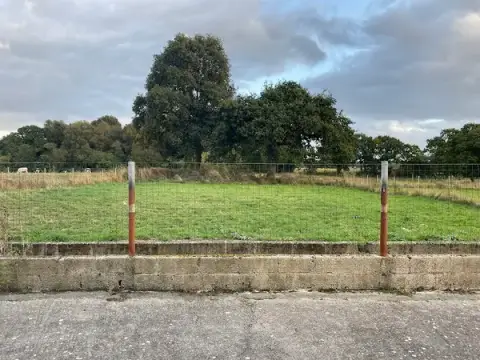 DSDO Pension Canine