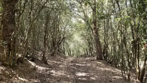 The Nature Park On olva