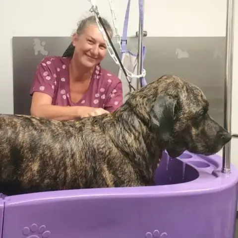 Bon Chien Bon Genre Toilettage