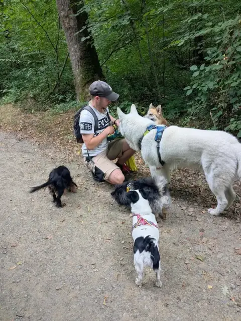 Avec mon chien