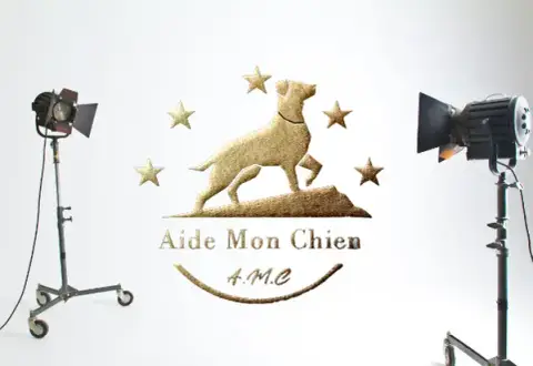 Aide Mon Chien Éducateur canin, consultant en comportement sur Six Fours et alentours