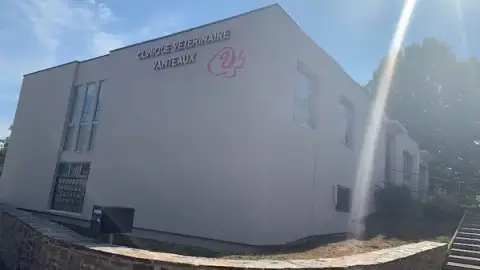 Veterinary Clinic Vanteaux