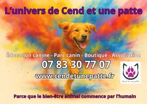 Cend et une patte