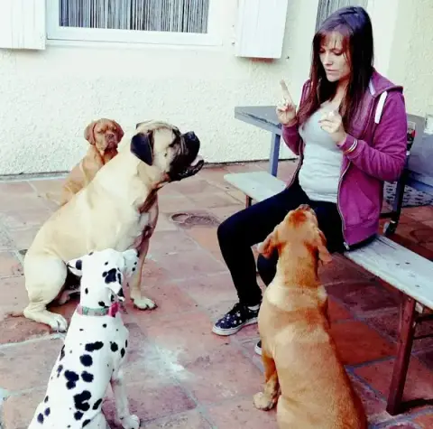 Le Domaine Des Animaux