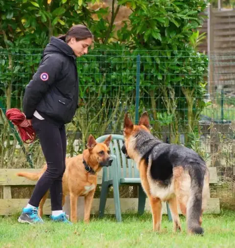 Bark to Basic - Education et comportement du Chien