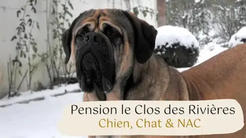 Pension le Clos des Rivières