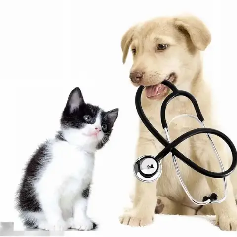 My Home Vet - Vétérinaire à domicile