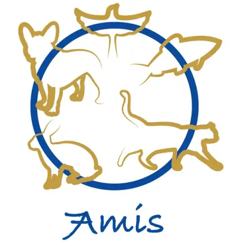 7Amis