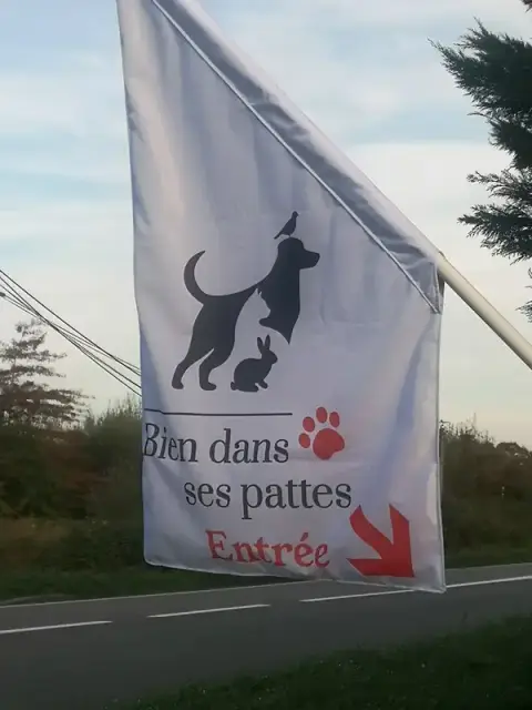 Bien dans ses pattes