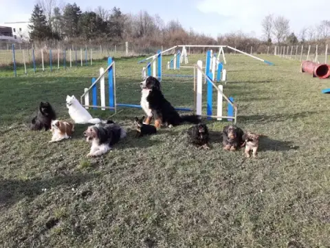 club canin Langeais