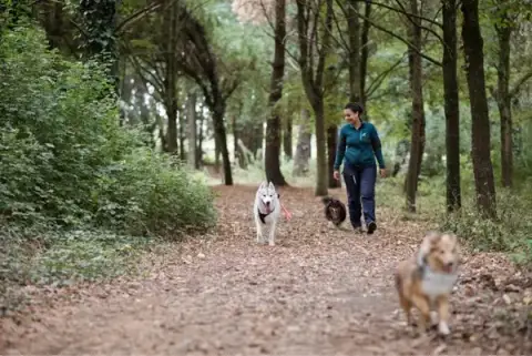 Educateur canin & Comportementaliste canin - Laura TOUS EN VADROUILLE - Sainte Pazanne et Bouguenais (44)