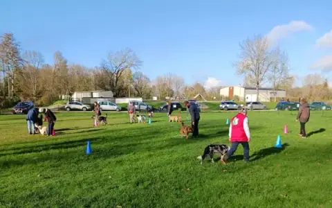 CECVI - Club d'Education Canine de Villedieu sur Indre
