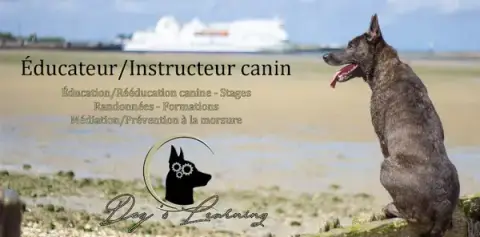 Dog's Learning