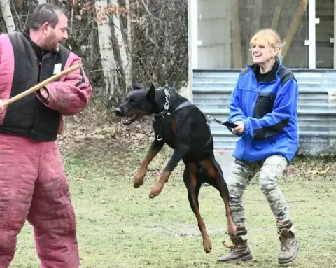 Training Center And Education Canine 77