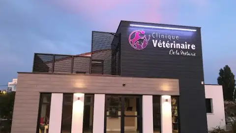 Vet Metairie Palissier Doctor Clinic