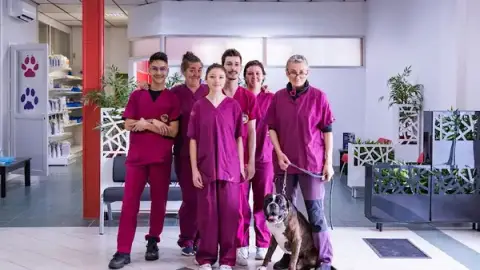 Clinique Vétérinaire Argos Brive Les Cèdres