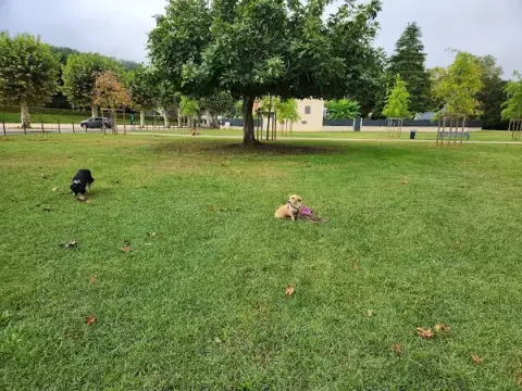E-H-Ccanine. Éducatrice canin Virginie Lafontan