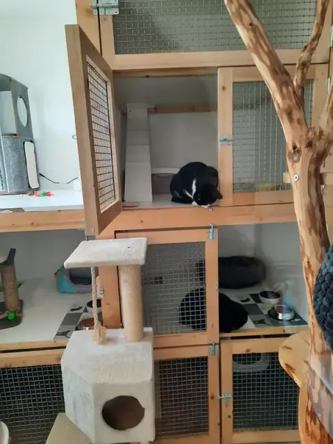 P'Ty Chat et Cie