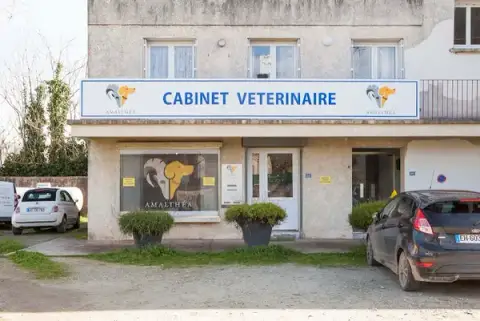 Cabinet vétérinaire AMALTHEA à Ghisonaccia Dr Ferrandi Sandrine Dr Dupeyron Charles-Henri