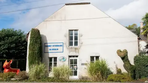 Cabinet vétérinaire du Moulin - Saint-Ay - Sevetys