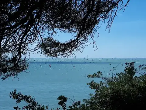 Parc Canin La Rochelle