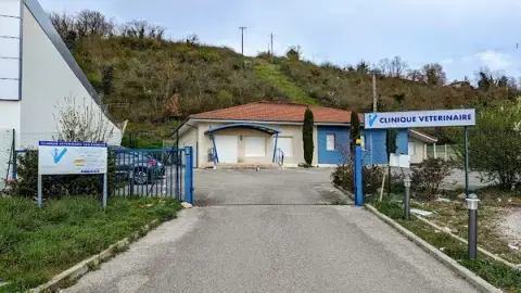 Clinique Vétérinaire des Erables