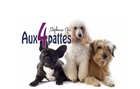 Aux 4 pattes