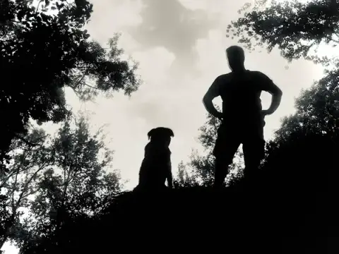 Love n'dog Education canine - Vincent CHADEFAUX