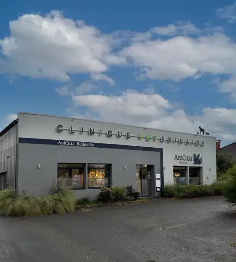 Clinique Vétérinaire AniCura Belleville