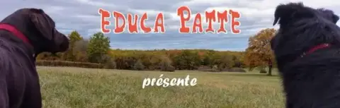 EDUCA PATTE