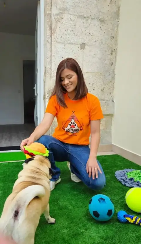 La Tribu des Pattes — Garderie & Pension pour Chiens à Angouleme