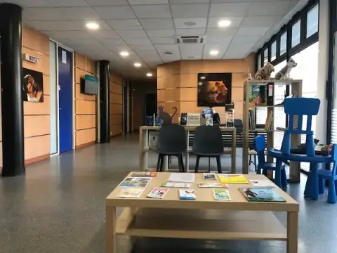 Clinique vétérinaire du Grand Morin - URGENCES VETERINAIRES - 7j/7 de 8h à 20h