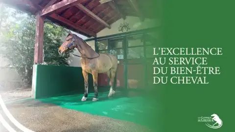 La Clinique du Cheval, Centre Hospitalier Vetérinaire Equin