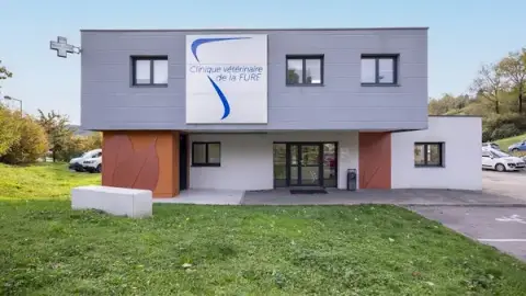 veterinarian clinic fure