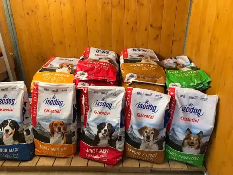 Croc Chiens - Spécialiste éducateur canin en Haute-Saône