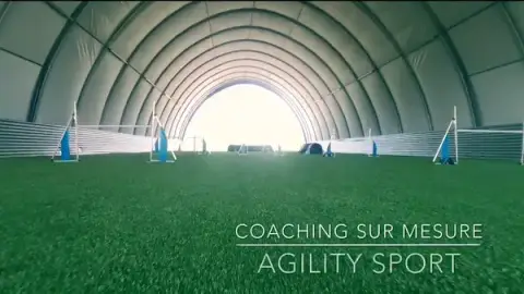 Agility Sport