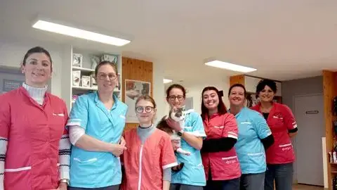 Clinique Vétérinaire Argos Hennebont