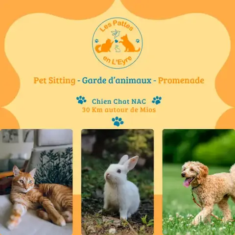 Les Pattes en L'Eyre