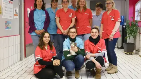 Veterinary Clinic St. Peter