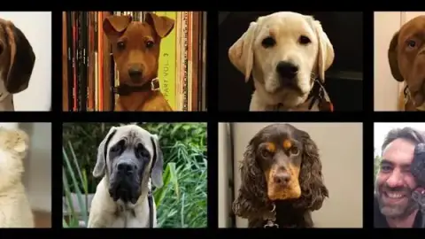 Education Canine Matthieu Gavardin