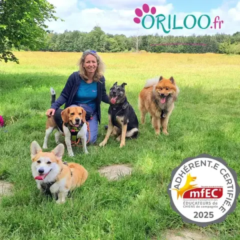 ORILOO
