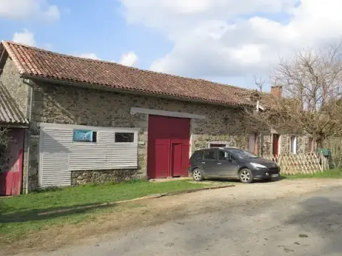 Freed Dogs - éducateur canin