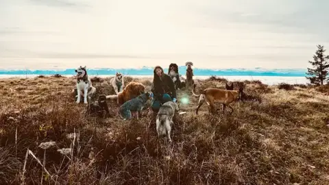 Marika Dog Sitter