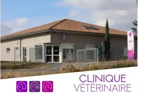 Veterinary Clinic Mansle