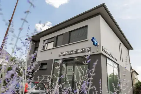 Veterinary clinic Saint Nicolas Dr. Emilie Schill