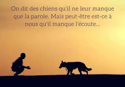 L'Amie Cahouette